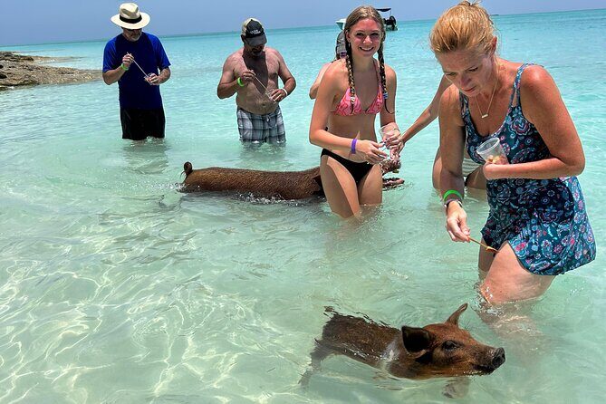 007 Private Beach Club -Swimming Pigs, Snorkeling, Lunch, Drinks - Key Points