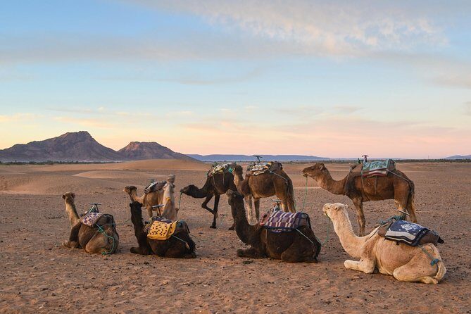 02 Days Marrakech - Ouarzazate - Zagora - An In-Depth Look at the Marrakech - Ouarzazate - Zagora Tour