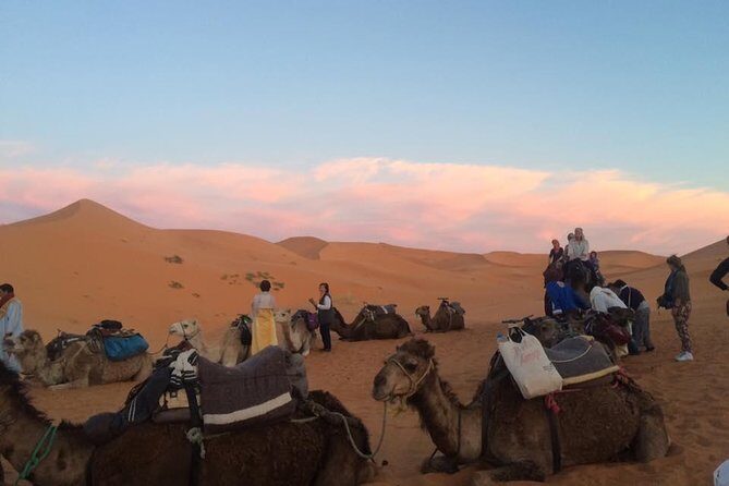 02 Days Marrakech - Ouarzazate - Zagora - The Sum Up