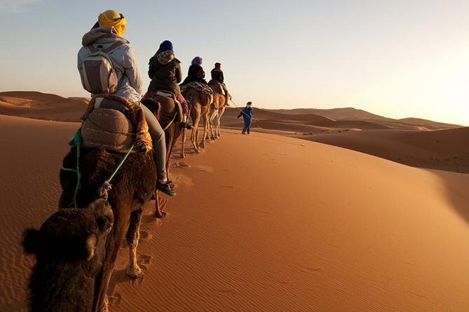 03 Days Marrakech To Merzouga - Key Points