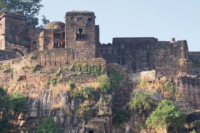 03 Days Private Ranthambore Wildlife Safari Tour From Delhi - Ease and Convenience