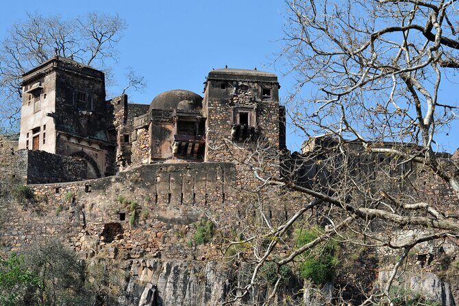 03 Days Private Ranthambore Wildlife Safari Tour From Delhi - Day 3: Final Safari and Return to Delhi