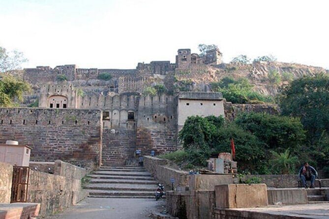 03 Days Private Ranthambore Wildlife Safari Tour From Delhi - The Value of This Tour