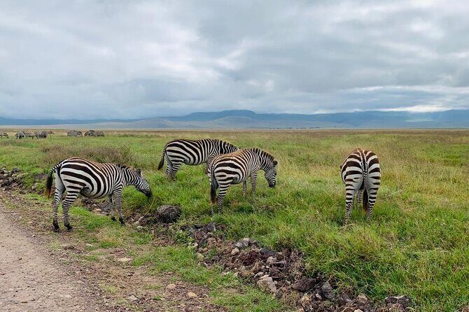 03 days Serengeti and Ngorongoro Crater group (camping) - Introduction to the Experience