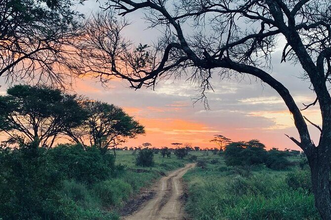 03 days Serengeti and Ngorongoro Crater group (camping) - Concluding Thoughts