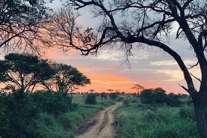 04 Days Tarangire, Serengeti and Ngorongoro crater group (Camping - Authenticity and Value