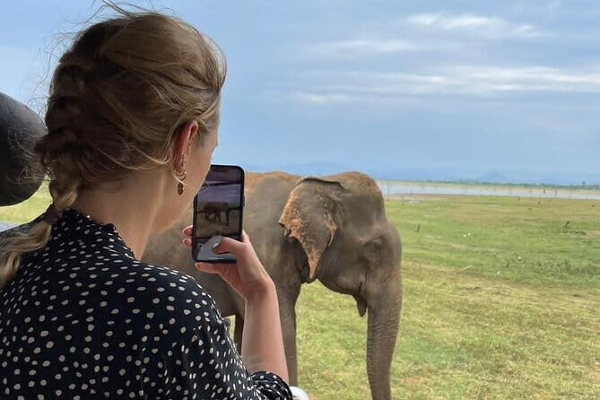 04 Hours Safari Jeep Tours - Introduction
