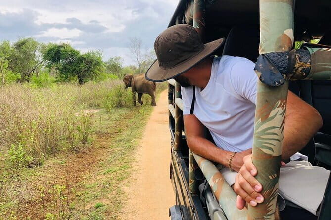 04 Hours Safari Jeep Tours - Key Points