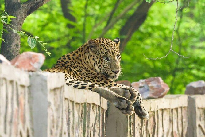 05 Days - Private Luxury Golden Triangle Tour with Ranthambore - An In-Depth Look at the Tour