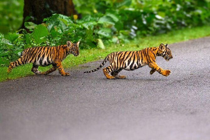 05 Days - Private Luxury Golden Triangle Tour with Ranthambore - Who Will Benefit Most?