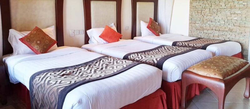 06 Days Aberdare Naivasha Mara Experience - Why This Safari Is Worth Considering