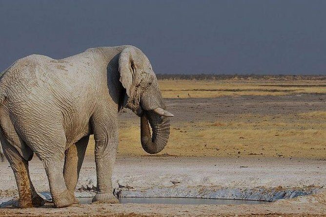 06 Days Etosha, Swakopmund and Sossusvlei | Guided Lodge - Key Points