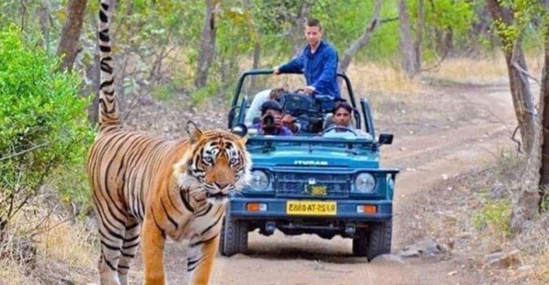 06 Days Golden Triangle Tour with Ranthambore Safari - A Practical Look at the Tour