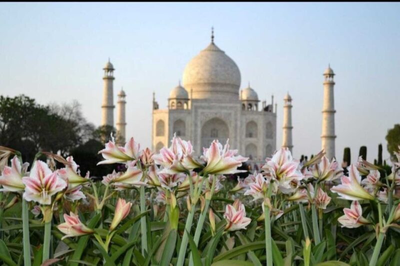 06 Days Golden Triangle Tour with Ranthambore Safari - Transitioning to Agra and the Taj Mahal