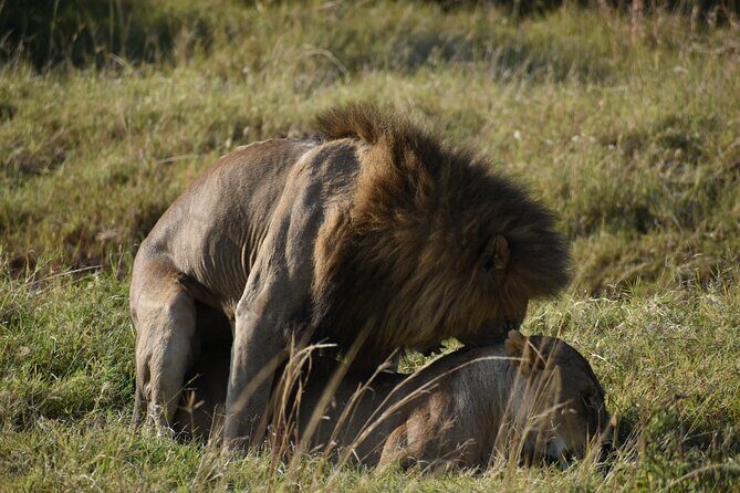 06 Days Kenya LuxuryLodge Safari - What’s Included and What’s Not?