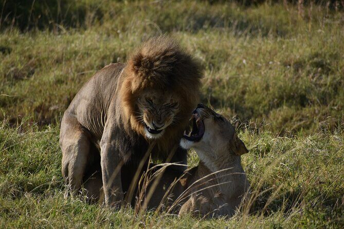 06 Days Kenya LuxuryLodge Safari - FAQs