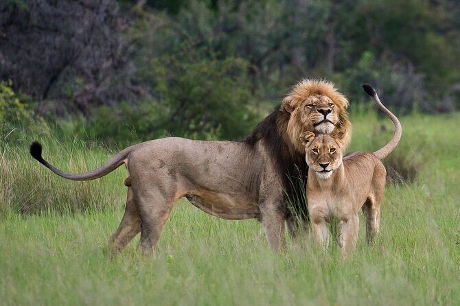 07-Days Murchison Falls, Queen Elizabeth & Gorillas Safari - A Detailed Breakdown of the Itinerary