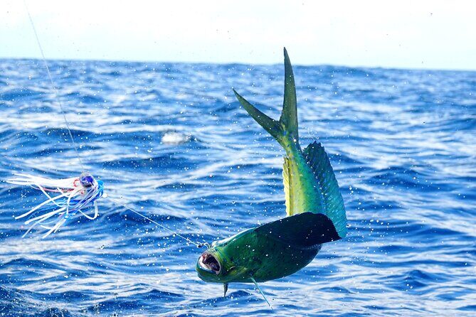 1/2 Day 5 Hour Offshore Fishing Charter - Group Size & Practicalities