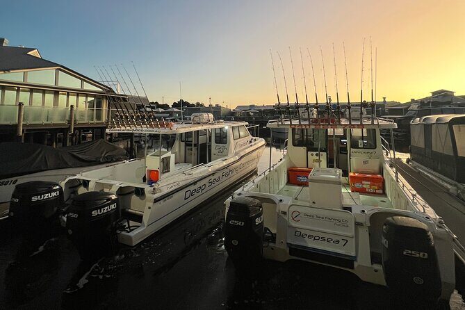 1/2 Day 5 Hour Offshore Fishing Charter - Authentic Feedback & Tips