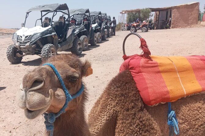 1/2-Day: Agafay Desert Buggy/Quad Bike From Marrakech - Safety and Preparation