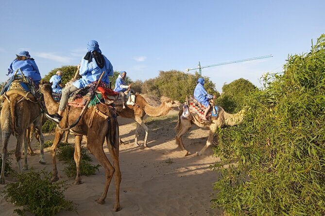 1/2 Day Camel Trekking in Essaouira with Meals - What to Expect from the Experience