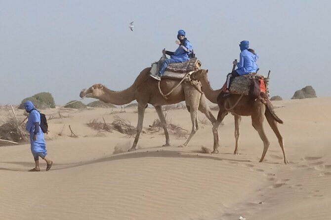 1/2 Day Camel Trekking in Essaouira with Meals - Practical Details and Considerations