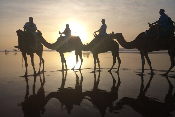 1/2 Day Camel Trekking in Essaouira with Meals - Who Will Enjoy This Tour?