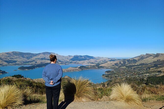 1/2-day Christchurch Scenic Highlights (Private Shore Excursion) - Deep Dive into the Itinerary
