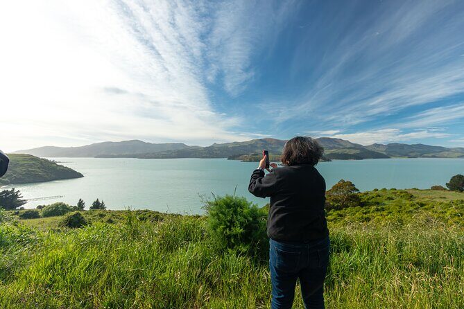 1/2-day Christchurch Scenic Highlights (Private Shore Excursion) - FAQ