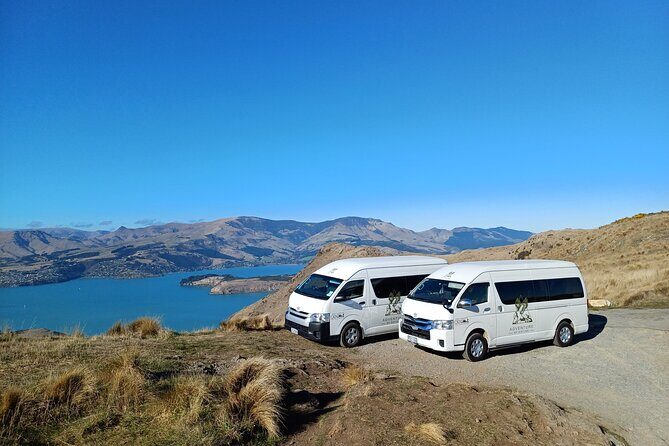 1/2-day Christchurch Scenic Highlights (Shore Excursion) - In-Depth Look at the Christchurch Highlights