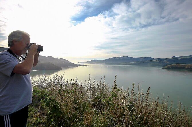 1/2-day Christchurch Scenic Highlights (Shore Excursion) - Frequently Asked Questions