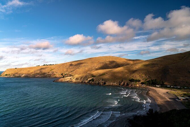 1/2-day Christchurch Scenic Highlights (Small Group Tour) - Frequently Asked Questions