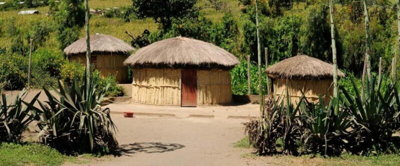 1/2 Day Durban City Tour & Phezulu Tour - Introduction