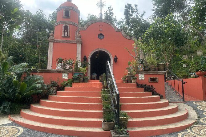 1/2 Day Puerto Vallarta Botanical Garden tour by Biologist Guide - Pricing and Value