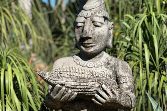 1/2 Day Puerto Vallarta Botanical Garden tour by Biologist Guide - The Sum Up: Who Will Love This Tour?