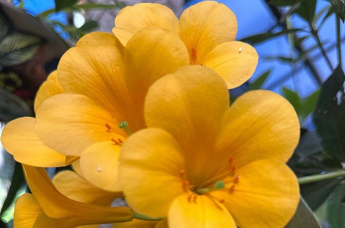 1/2 Day Puerto Vallarta Botanical Garden tour by Biologist Guide - FAQ