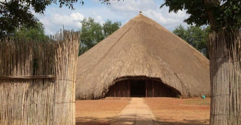 1/2 Day Safari from Durban - Who Will Love This Tour?