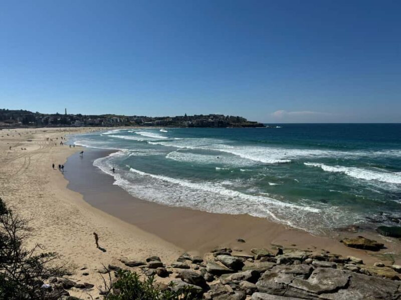 1/2 day Sydney Sightseeing and Bondi Beach Tour - Final Thoughts