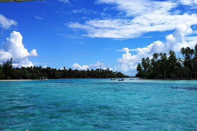 1/2 day Tahaa coral garden - departure Raiatea / ideal for cruise passengers - An Authentic Reef Experience in Just a Few Hours