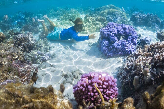 1/2 day Tahaa coral garden - departure Raiatea / ideal for cruise passengers - What Makes This Tour Stand Out?