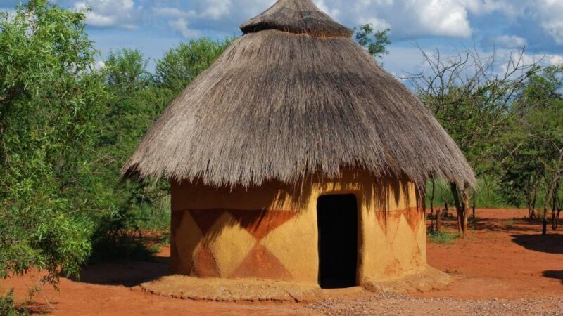 1/2 Day Tala Game Reserve & Phezulu Safari Park from Durban - Exploring the Tala Game Reserve