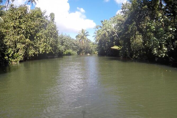 1/2 day "Treasures of Raiatea" by boat - ideal for cruise passengers - Who Will Love This Tour?