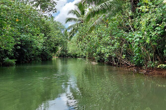 1/2 day "Treasures of Raiatea" by boat - ideal for cruise passengers - Final Thoughts: Who Should Book This Tour?