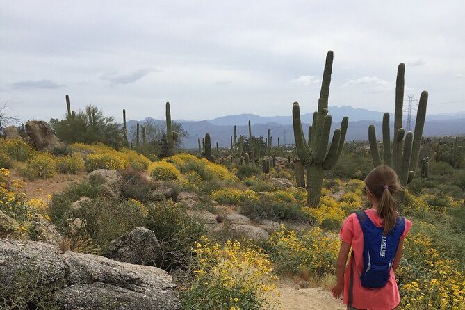 1-2 Hour Sonoran Desert Private Guided Hiking Tour - What’s Included and How the Tour Unfolds