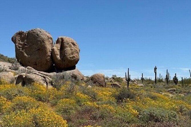 1-2 Hour Sonoran Desert Private Guided Hiking Tour - Who Should Book This Tour?
