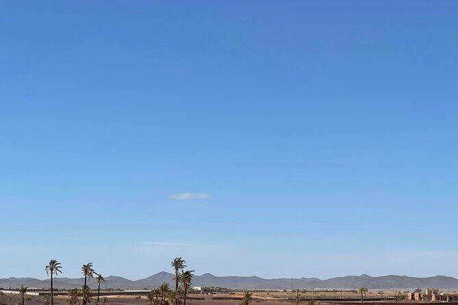 1/2 journée Quad Palmeraie Marrakech - Key Points