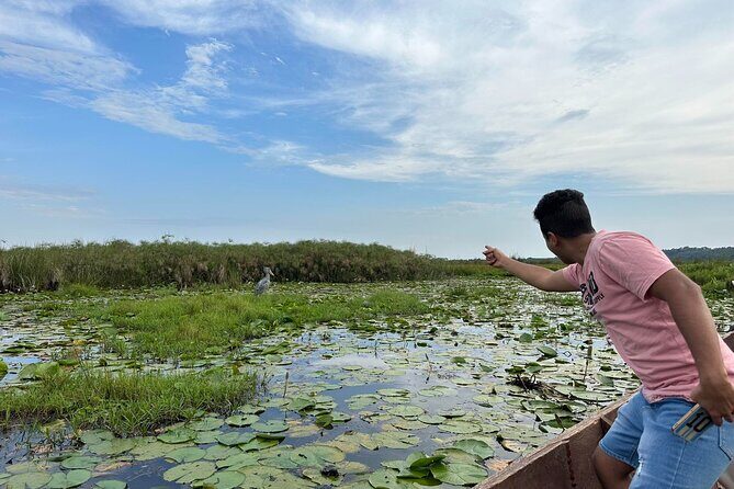 1/2 Mabamba Swamp Shoebill Tour - FAQs