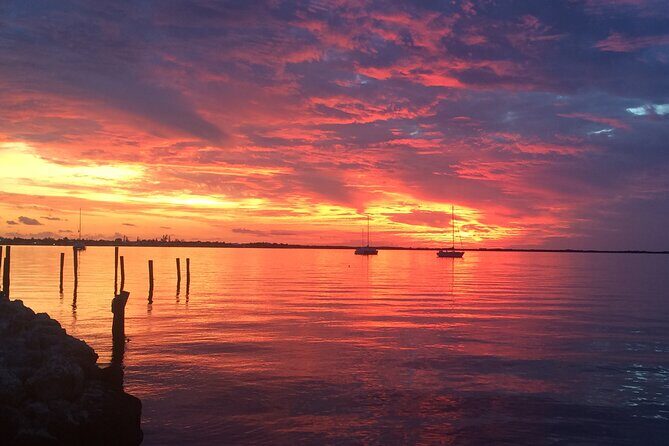 1.5 Hour Bay Side Key Largo Sunset Cruise on a Spacious Catamaran - The Experience Beyond Just Sunset Views