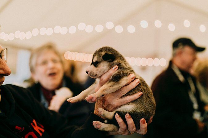1.5-Hour Beer and Puppies Guided Experience in Fairbanks - Final Thoughts: Who Will Love This Tour?