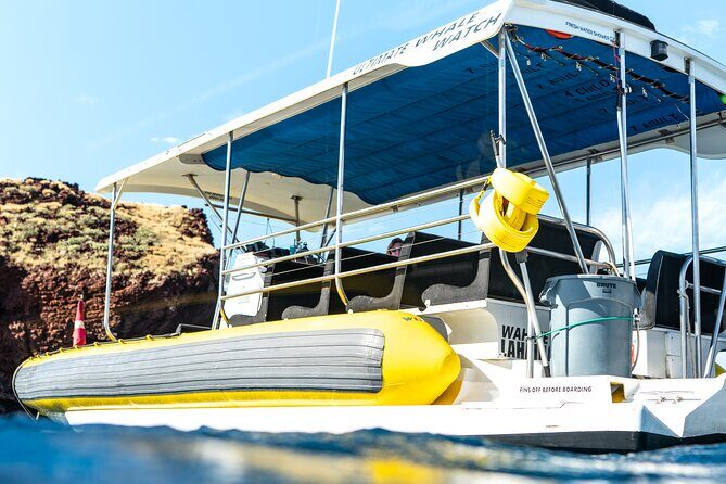1.5 Hour Elite Whale Watch Kaanapali Beach - An Honest Look at the Tour